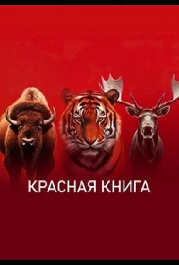 Смотреть Сериал Красная книга(2022) бесплатно